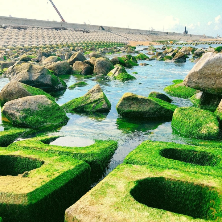 Xuân về, Phú Yên lại hiện lên một ‘thiên đường rêu xanh’ đẹp mê ly - 6