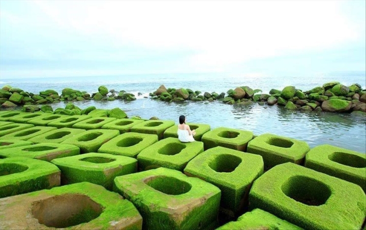 Xuân về, Phú Yên lại hiện lên một ‘thiên đường rêu xanh’ đẹp mê ly - 9