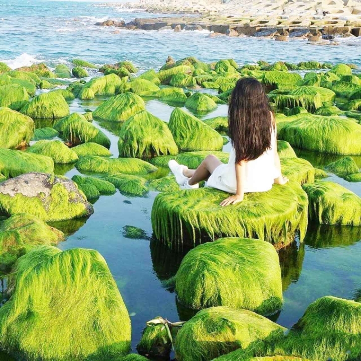 Xuân về, Phú Yên lại hiện lên một ‘thiên đường rêu xanh’ đẹp mê ly - 12